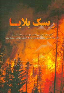 کتاب ریسک بلایا اثر وحید حسینی‌جناب