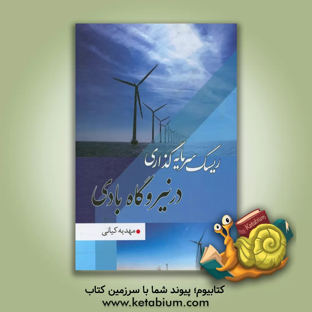 کتاب ریسک سرمایه گذاری در نیروگاه بادی اثر مهدیه کیانی‌پیکانی