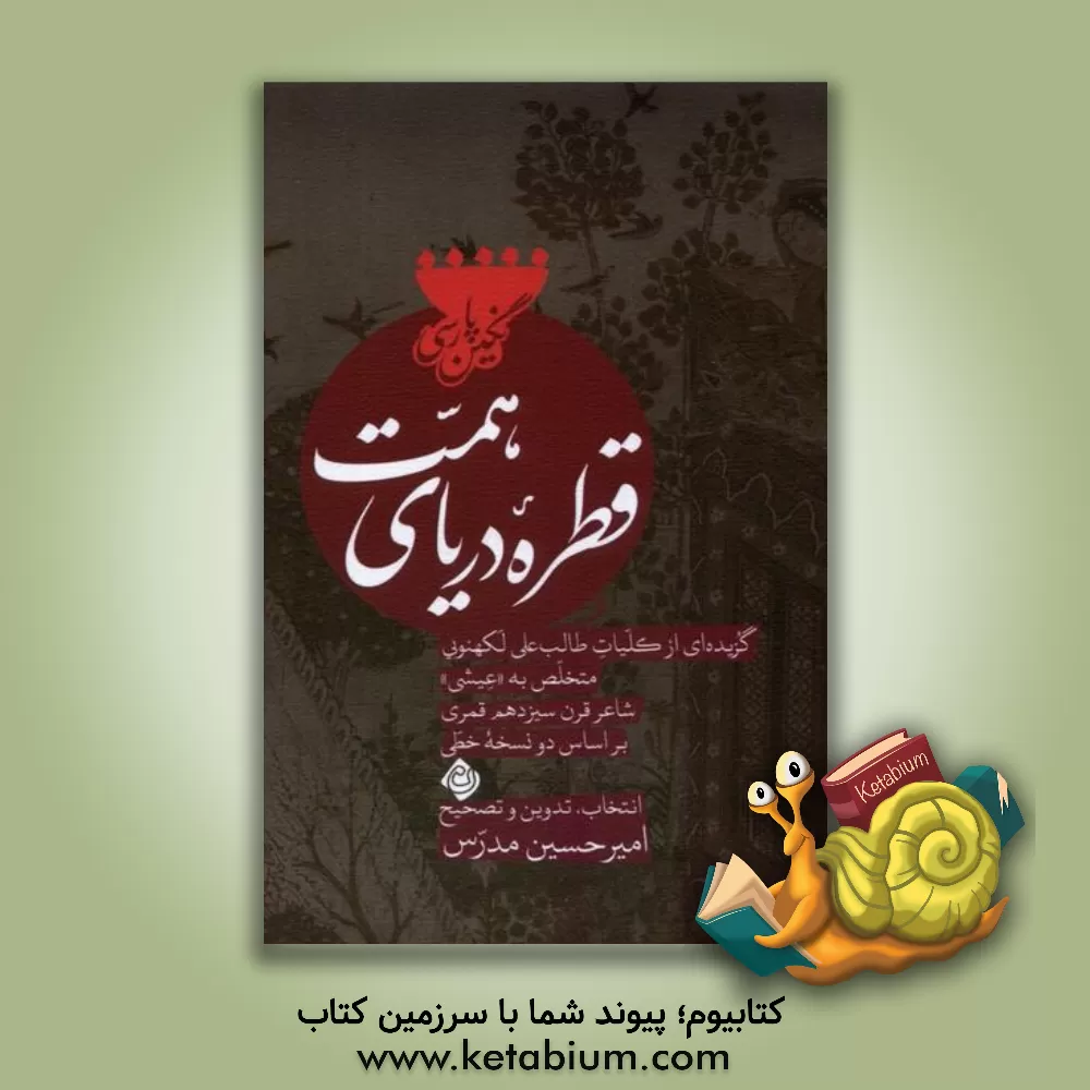 کتاب قطره دریای همت: گزیده ای از کلیات طالب علی لکهنویی متخلص به "عیشی" شاعر قرن سیزدهم قمری بر اساس دو نسخه خطی |اثر امیرحسین مدرس