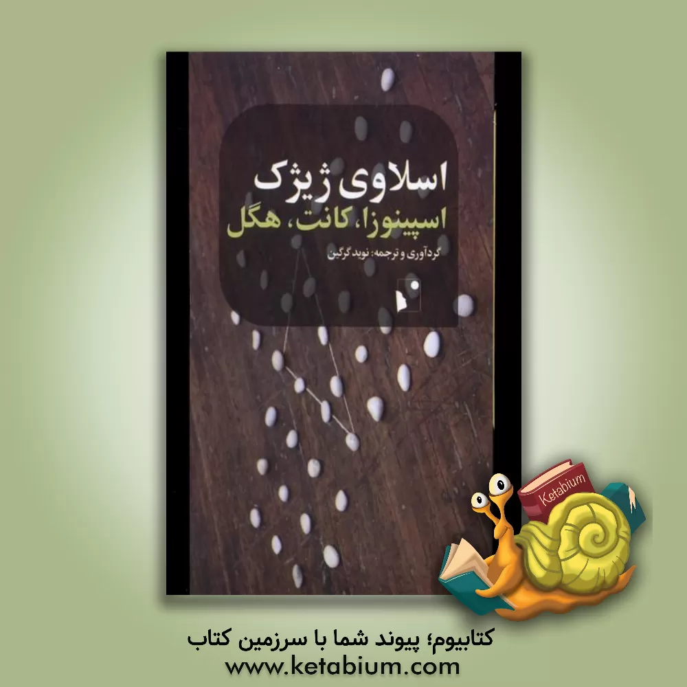 کتاب اسپینوزا، کانت، هگل |اثر اسلاوی ژیژک