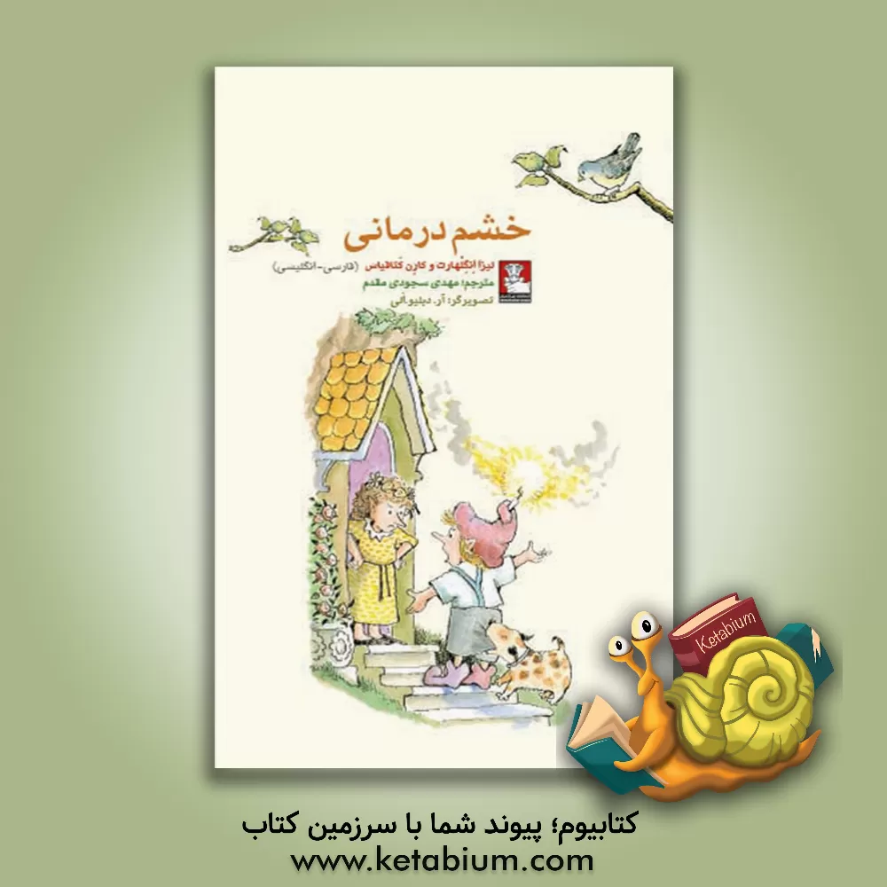 کتاب خشم‌درمانی اثر لیزا انگلهارت