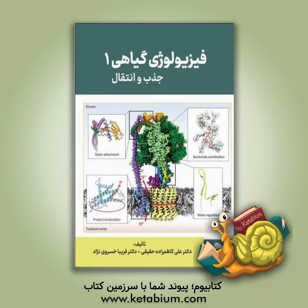 کتاب فیزیولوژی گیاهی 1: جذب و انتقال مواد |اثر علی کاظم زاده حقیقی