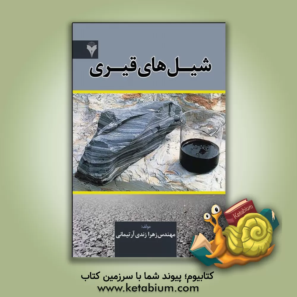 کتاب شیل های قیری |اثر زهرا زندی آرتیمانی
