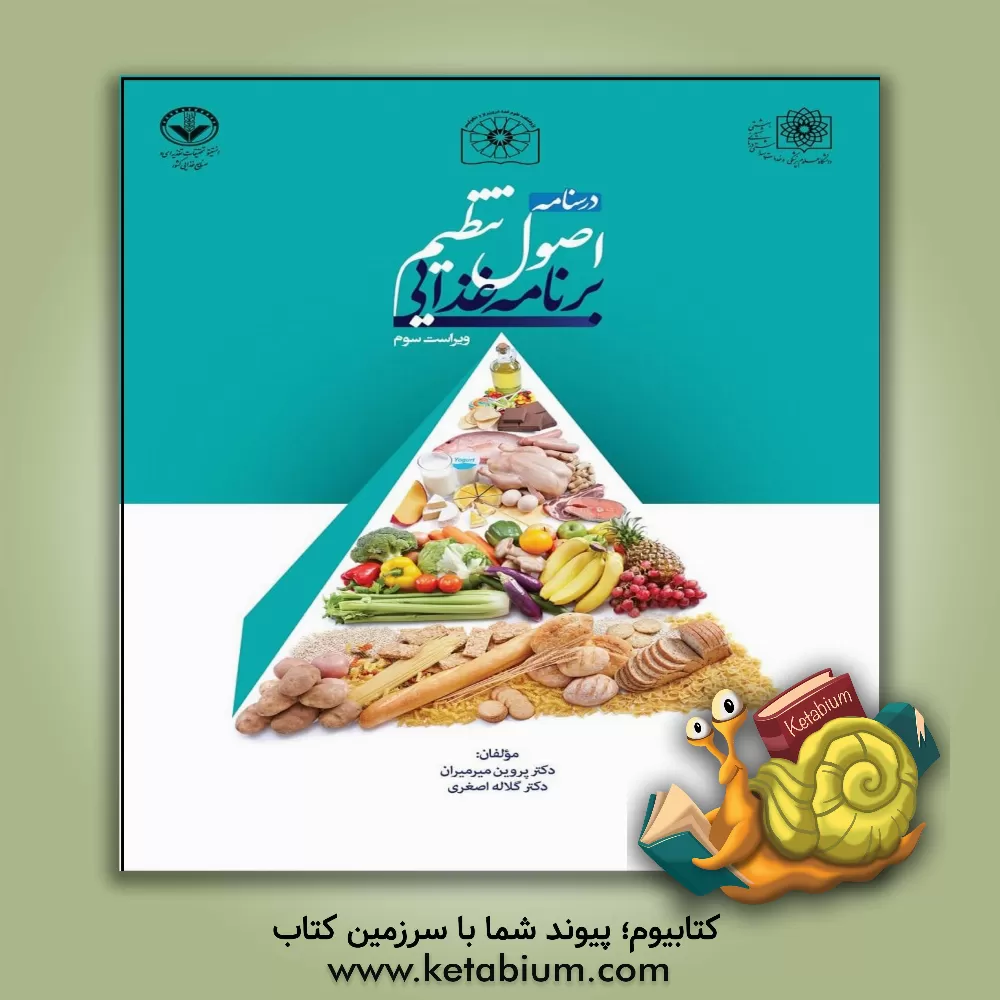 کتاب درسنامه اصول تنظیم برنامه غذایی اثر پروین میرمیران