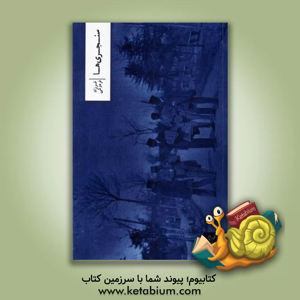 کتاب سنجری‌ها اثر فرزاد فره‌وشی