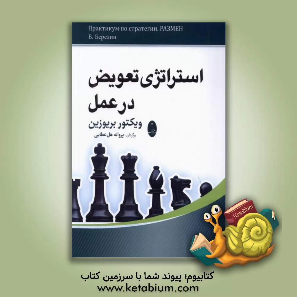 کتاب استراتژی تعویض در عمل |اثر ویکتور بریوزین