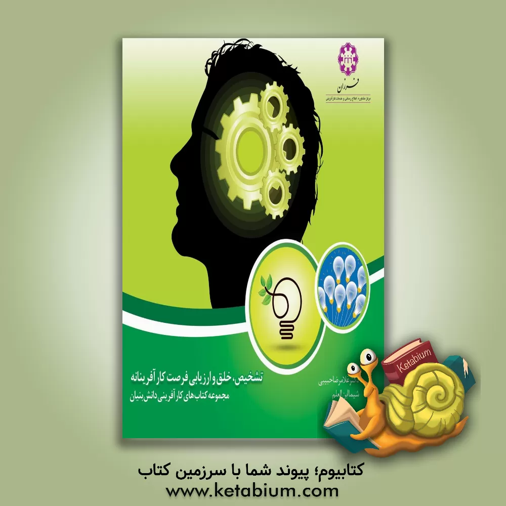 کتاب تشخیص، خلق و ارزیابی فرصت کارآفرینانه اثر غلامرضا حبیبی