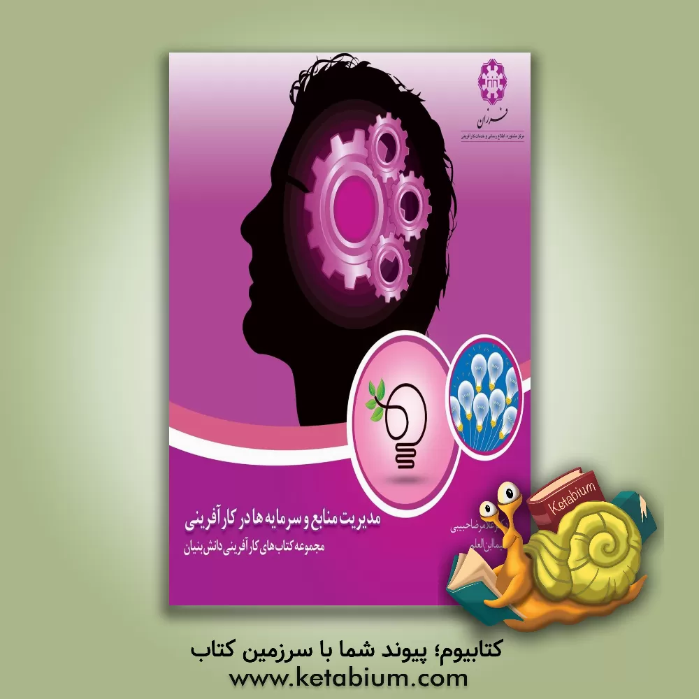 کتاب مدیریت منابع و سرمایه‌ها در کارآفرینی اثر غلامرضا حبیبی