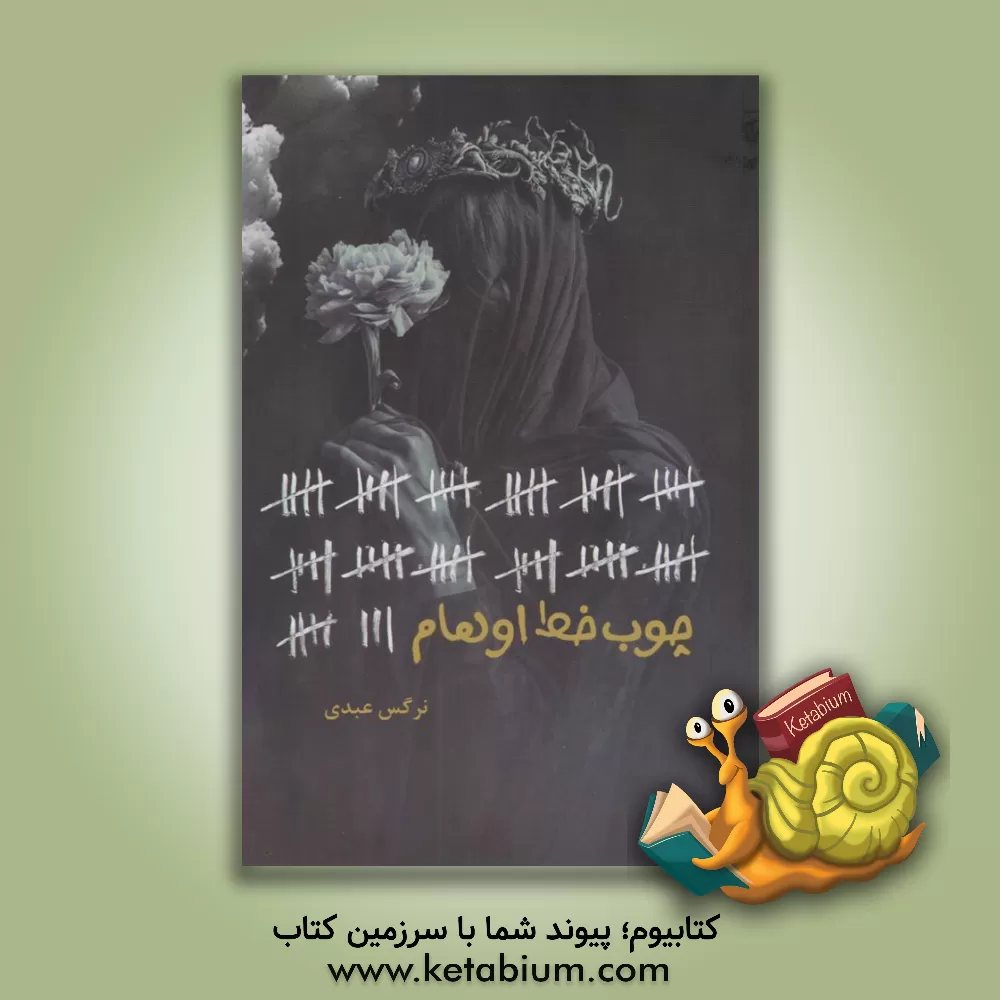 کتاب چوب‌خط اوهام اثر نرگس عبدی