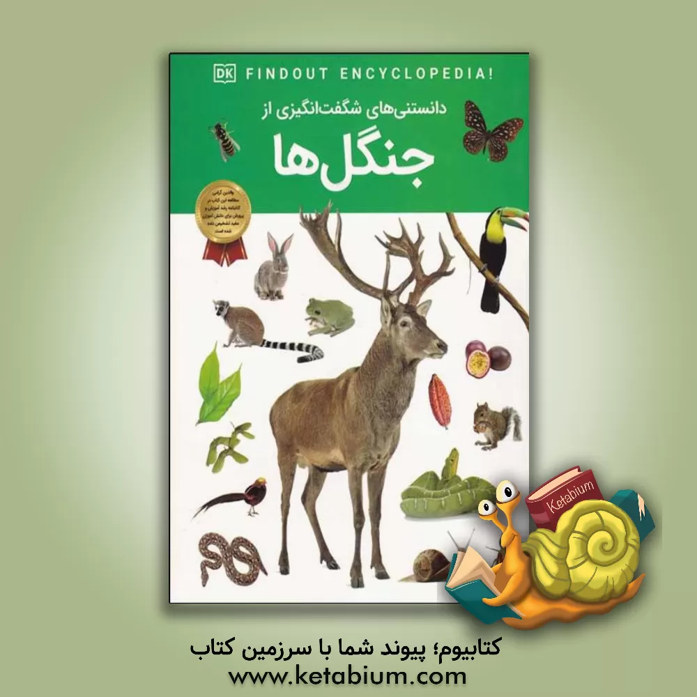 کتاب دانستنی های شگفت انگیزی از جنگل ها |اثر کت هیکی