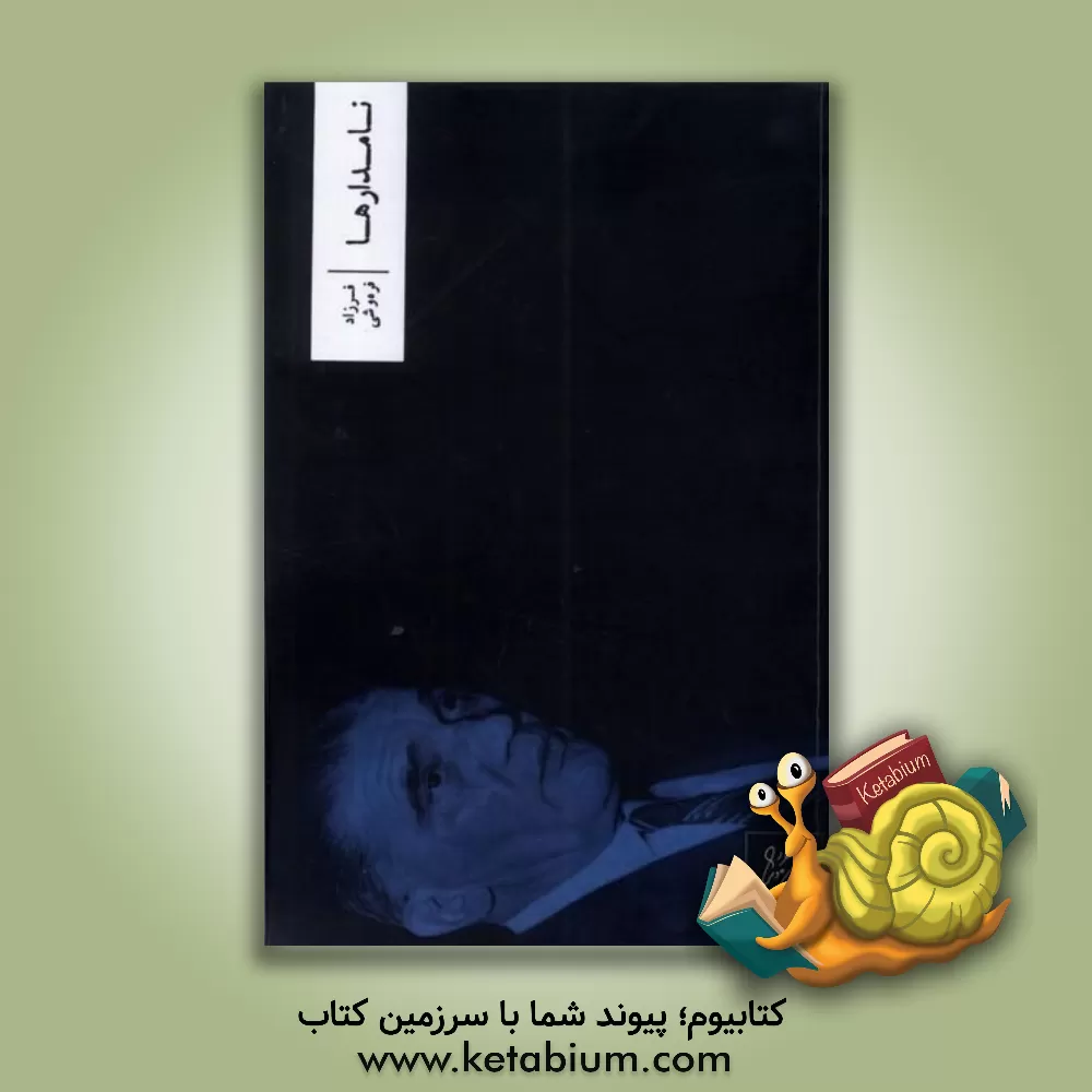 کتاب نامدارها: مقالات و اسنادی درباره ی دکتر مهدی نامدار و خانواده اش |اثر سیدصادق کاظمی نیا