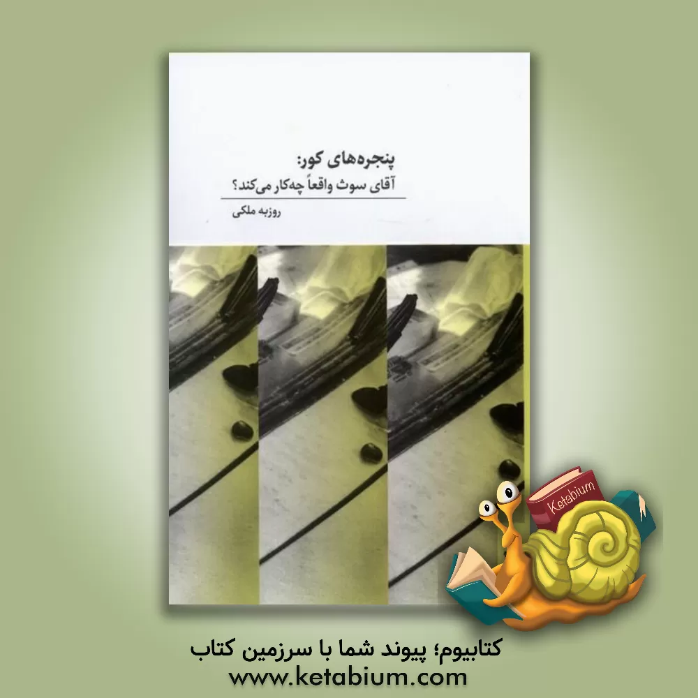 کتاب پنجره های کور: آقای سوث واقعا چه کار می کند؟ |اثر روزبه ملکی