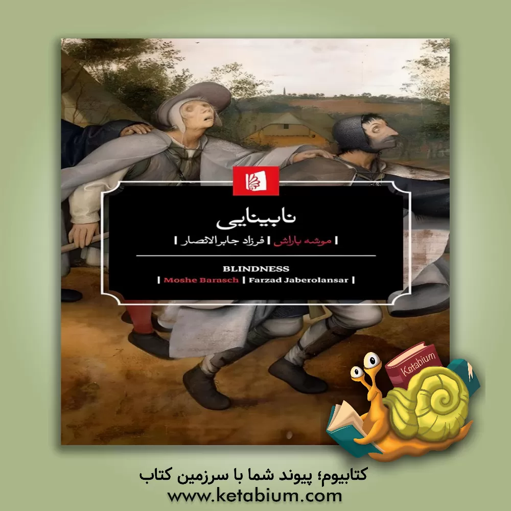 کتاب نابینایی: تاریخ یکی از تصاویر ذهنی در اندیشه غرب اثر موشه باراش