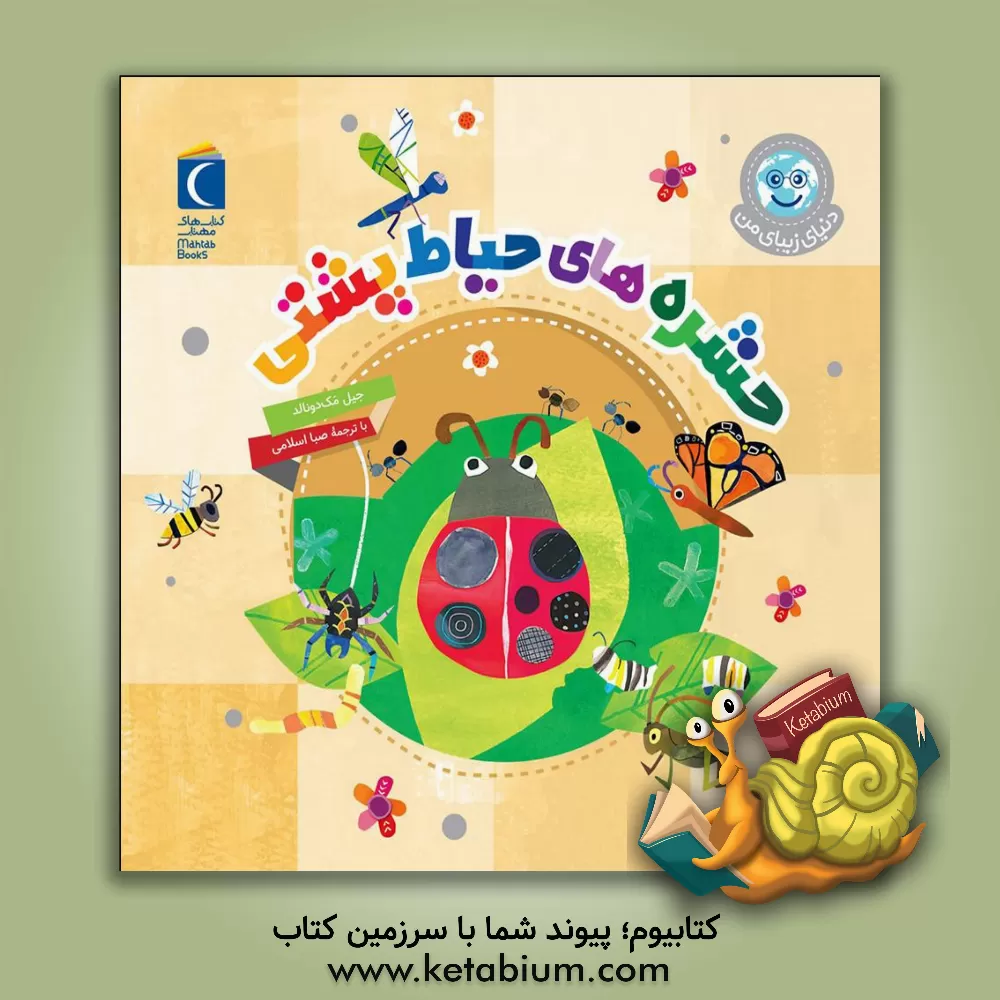 کتاب حشره‌های حیاط پشتی اثر جیل مک‌دونالد