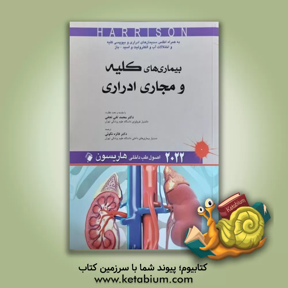 کتاب بیماری‌های کلیه و مجاری ادراری: 2022 اصول طب داخلی هاریسون اثر جوزف لوسکالزو