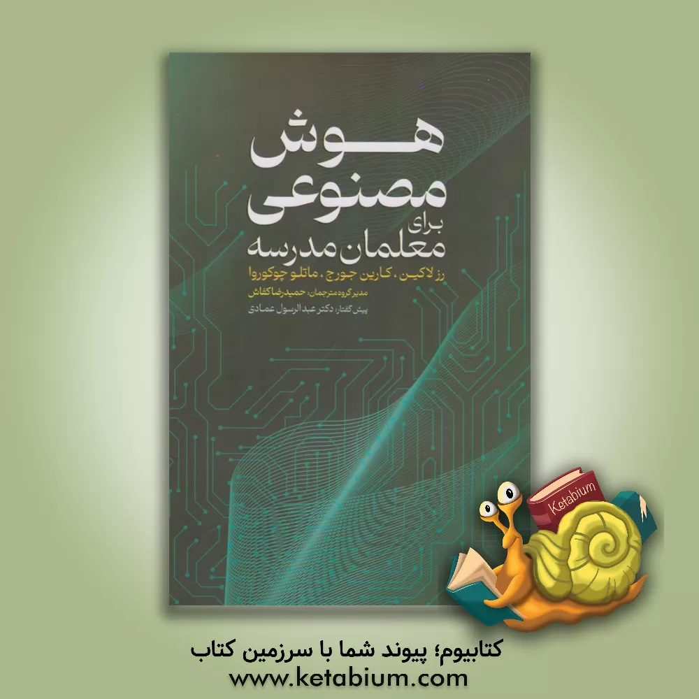 کتاب هوش مصنوعی برای معلمان مدارس اثر رزمری لاکین