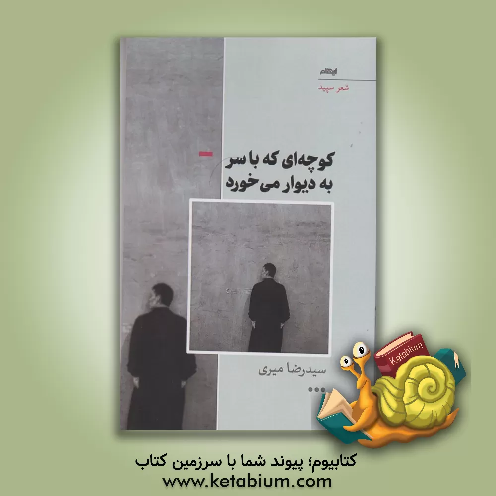 کتاب کوچه‌ای که با سر به دیوار می‌خورد اثر رضا میری