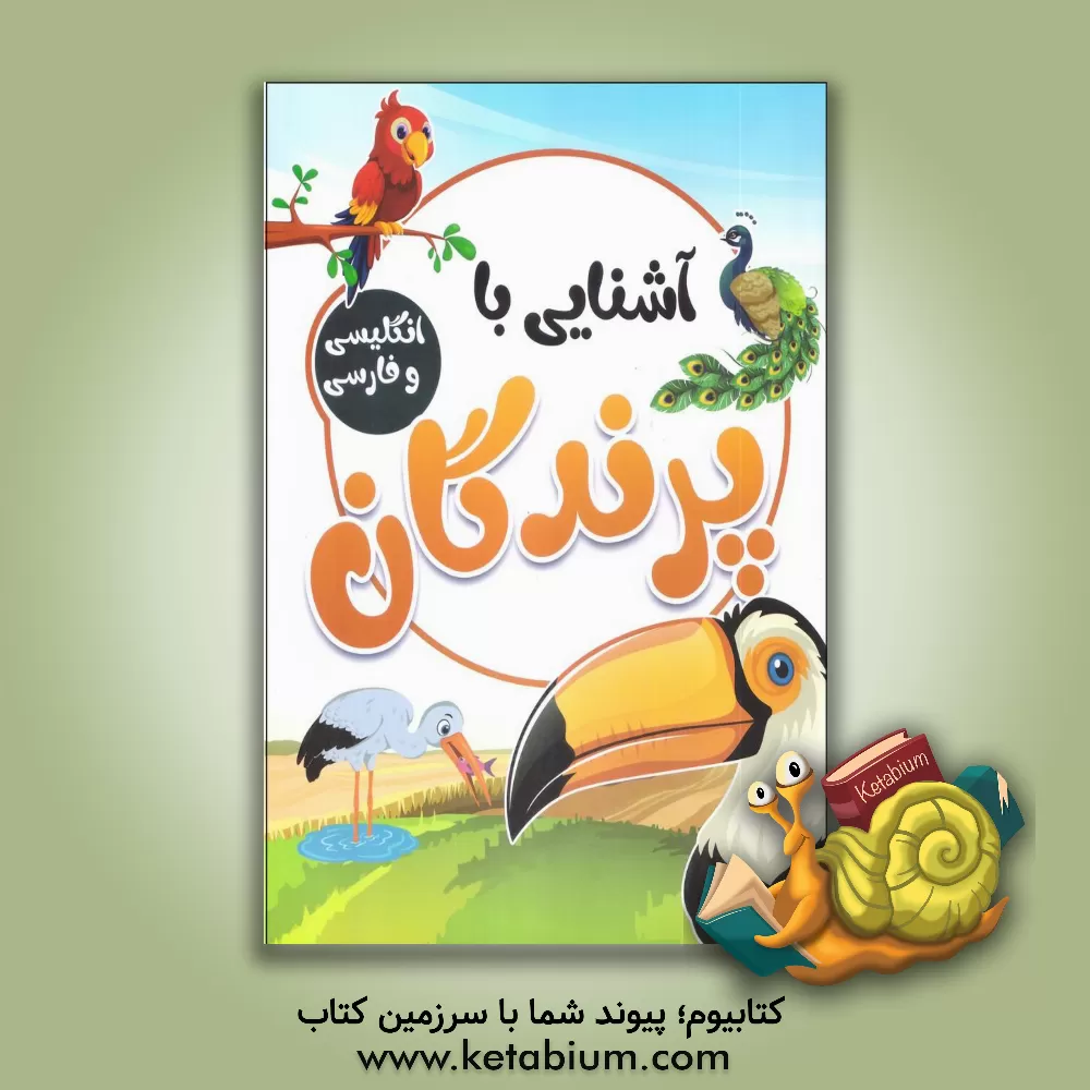 کتاب آشنایی با پرندگان با کلمات انگلیسی همراه با معنی و تلفظ اثر صادق واحدی