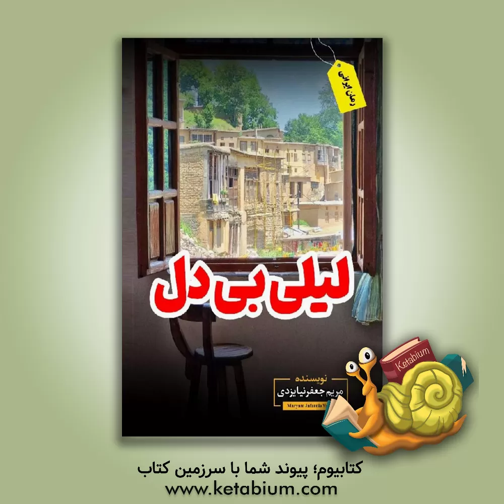 کتاب لیلی بی‌دل اثر مریم جعفرنیا