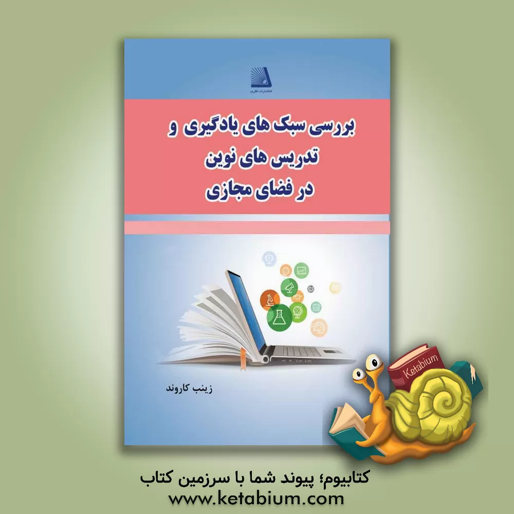 کتاب بررسی سبک‌های یادگیری و تدریس‌های نوین در فضای مجازی اثر زینب کاروند
