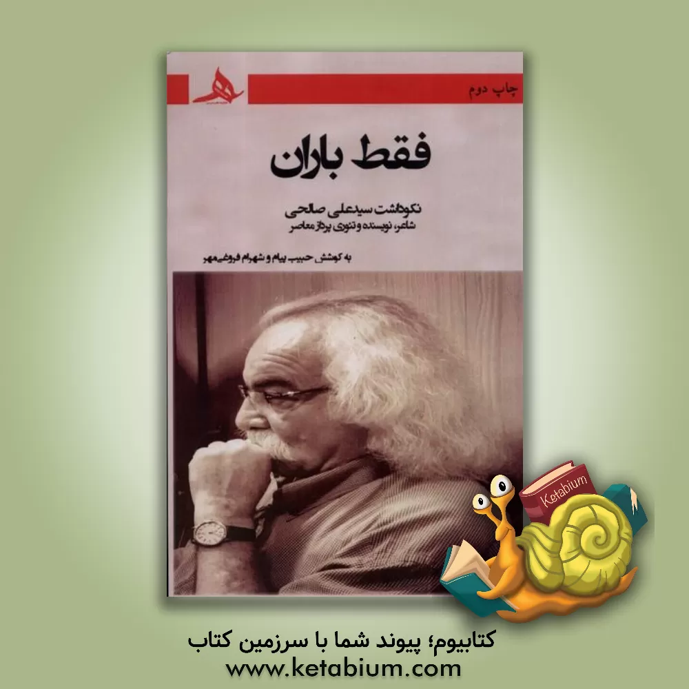 کتاب فقط باران: نکوداشت سیدعلی صالحی (شاعر، نویسنده و تئوری‌پرداز معاصر) اثر شهرام فروغی‌مهر