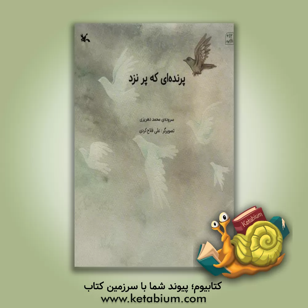 کتاب پرنده‌ای که پر نزد اثر محمد گودرزی‌دهریزی