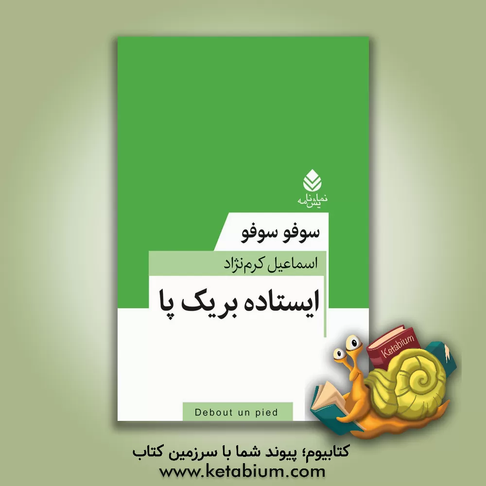 کتاب ایستاده بر یک پا |اثر سوفوسوفو