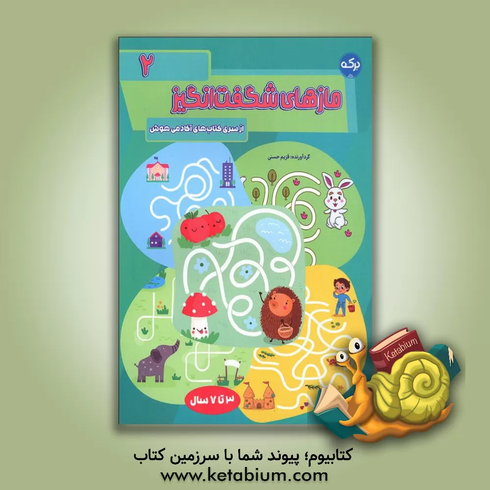 کتاب مازهای شگفت انگیز 2 |اثر الهه عین بخش