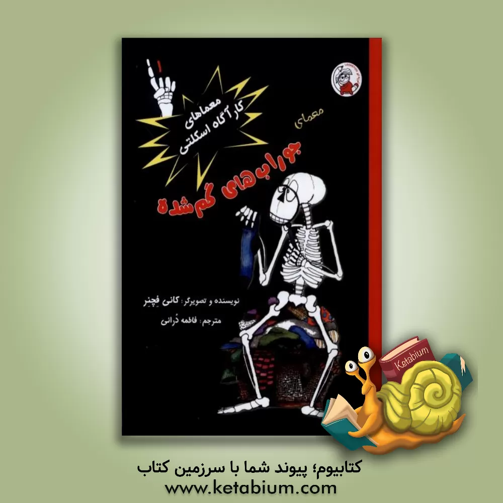 کتاب معمای جوراب‌های گم‌شده اثر کنی فشنر