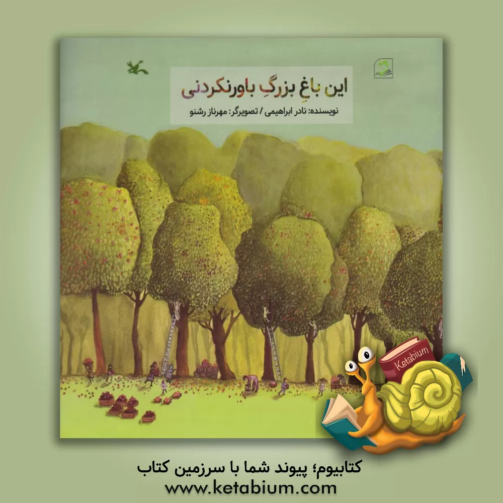 کتاب این باغ بزرگ باورنکردنی اثر نادر ابراهیمی