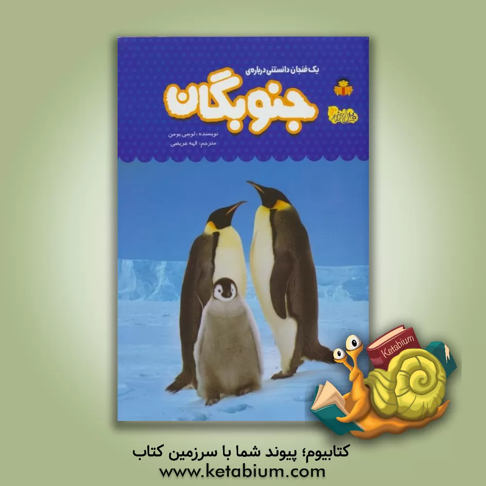 کتاب یک فنجان دانستنی درباره ی جنوبگان |اثر لوسی بومن