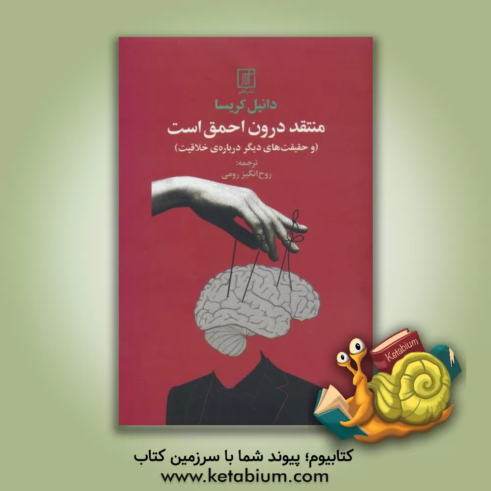 کتاب منتقد درون احمق است و حقیقت‌های دیگر درباره‌ی خلاقیت اثر دنیل کریسا