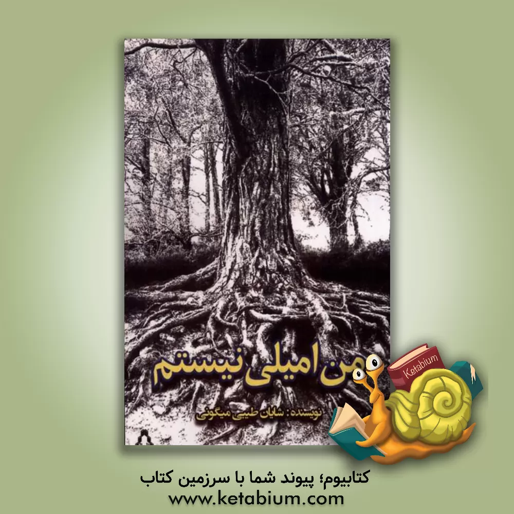 کتاب من امیلی نیستم اثر شایان طیبی‌میگونی