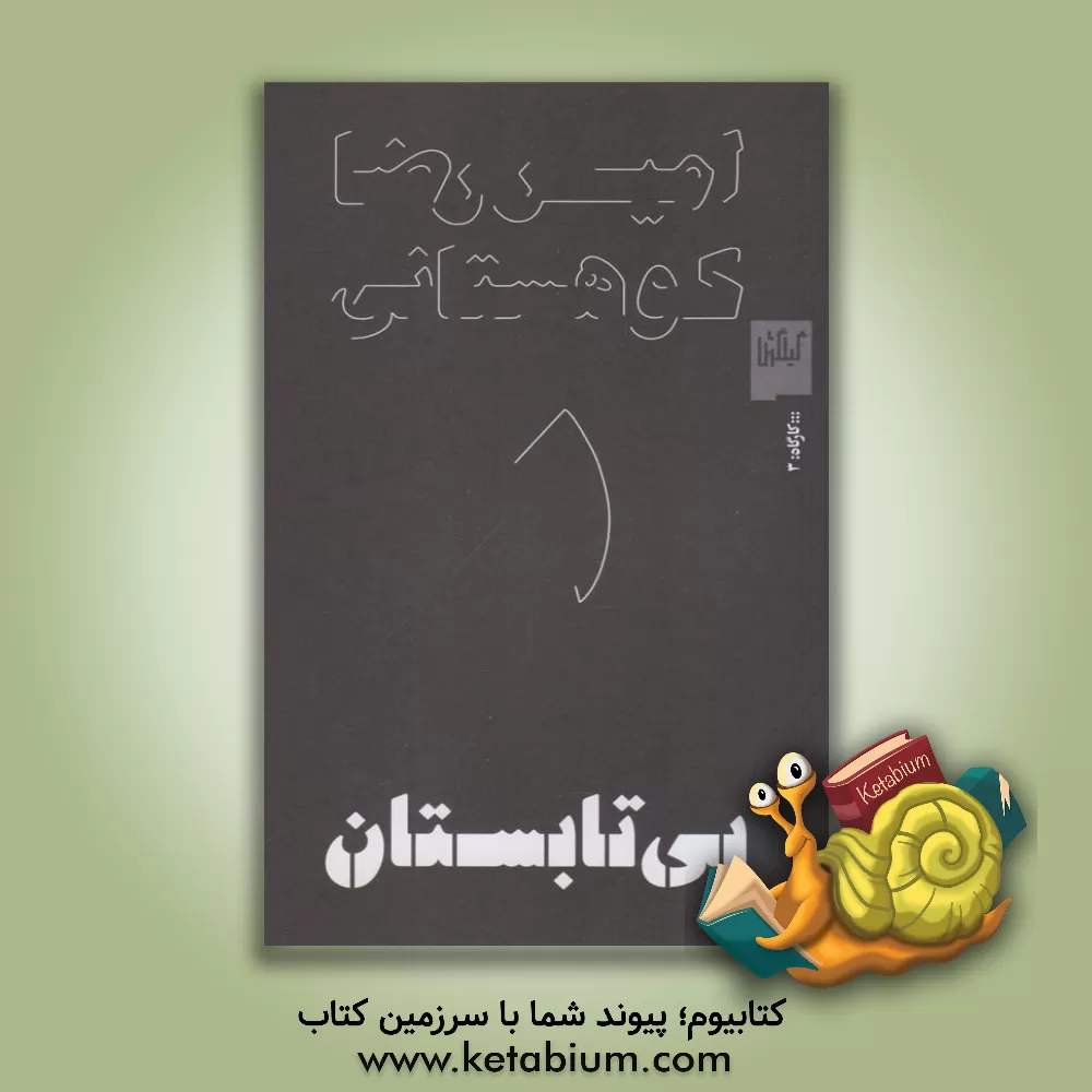 کتاب بی‌تابستان اثر امیررضا کوهستانی