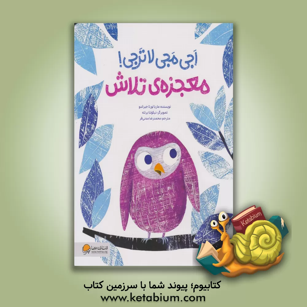 کتاب معجزه ی تلاش: اجی مجی لاترجی! |اثر ماریوری خیرالدو خیرالدو