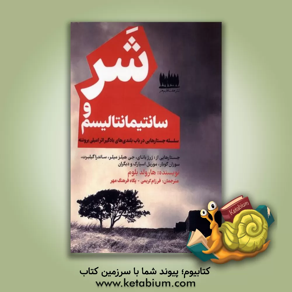 کتاب شر و سانتیمانتالیسم: سلسله جستارهایی در باب بلندی‌های بادگیر امیلی برونته اثر هرولداچ. بلوم‌فیلد
