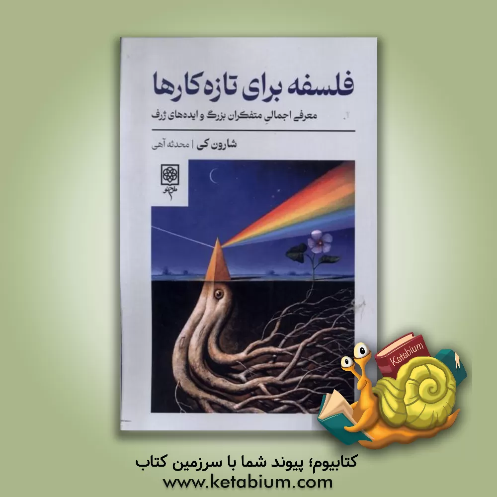 کتاب فلسفه برای تازه کارها: معرفی اجمالی متفکران بزرگ و ایده های ژرف |اثر شارون ام. کی