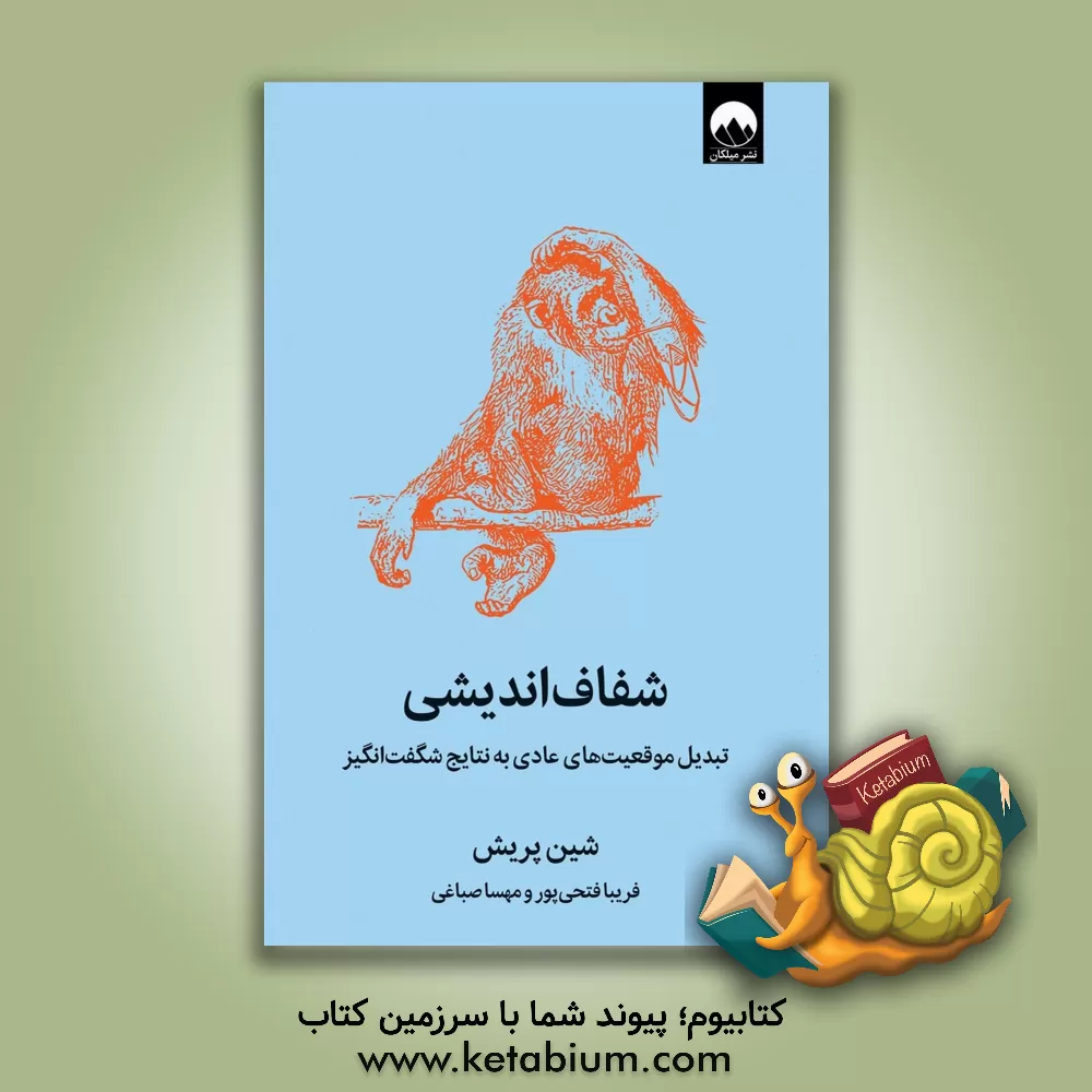 کتاب شفاف‌اندیشی: تبدیل موقعیت‌های عادی به نتایج شگفت‌انگیز اثر شین پریش