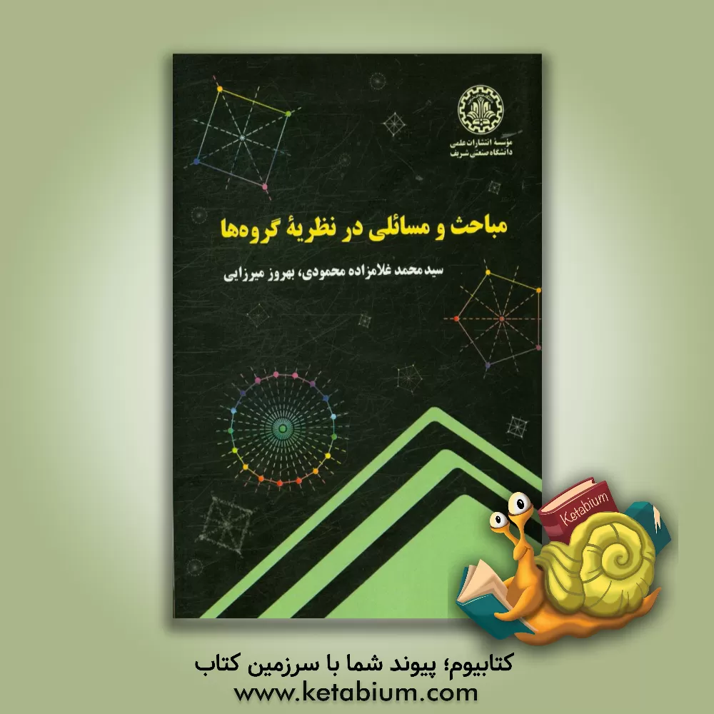 کتاب مباحث و مسائلی در نظریه گروه ها اثر سیدمحمد غلامزاده‌محمودی
