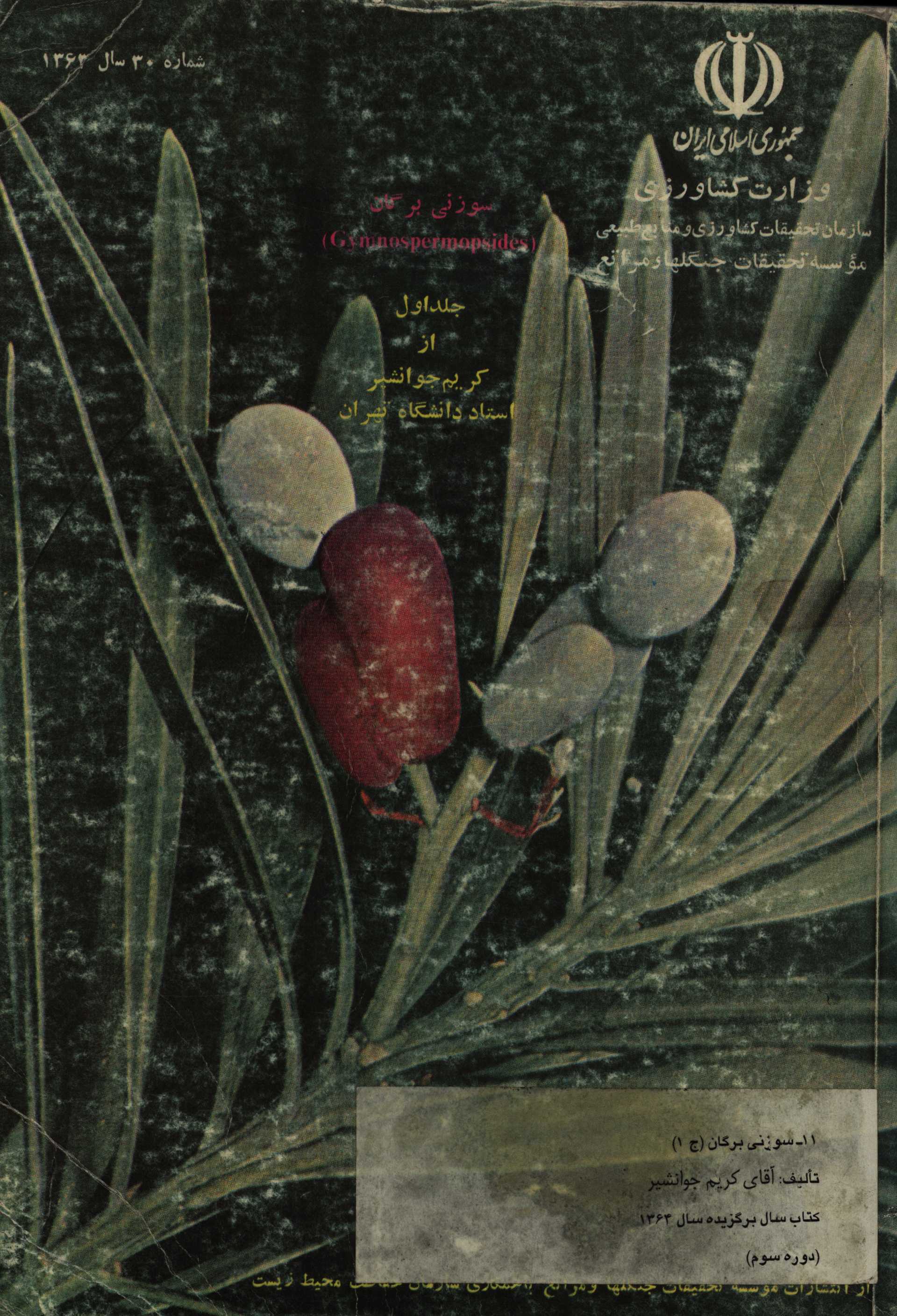 کتاب سوزنی برگان = GYMNOSPERMOPSIDS |اثر کریم جوانشیر