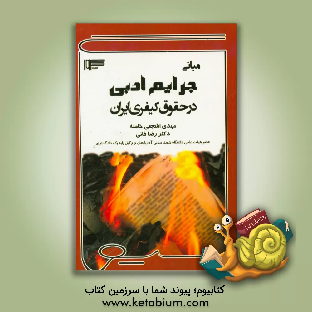 کتاب مبانی جرایم ادبی در حقوق کیفری ایران اثر رضا فانی