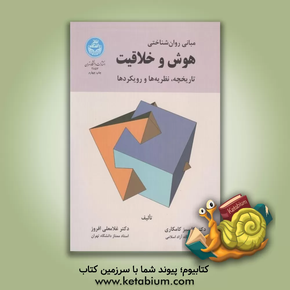 کتاب مبانی روان شناختی هوش و خلاقیت: تاریخچه، نظریه ها و رویکردها اثر غلامعلی افروز