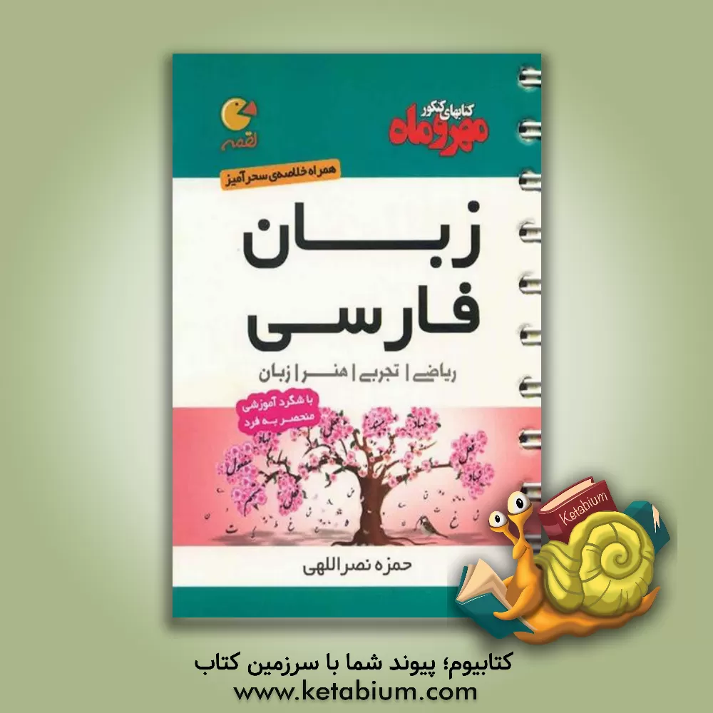کتاب زبان فارسی سوم دبیرستان + کنکور اثر حمزه نصراللهی