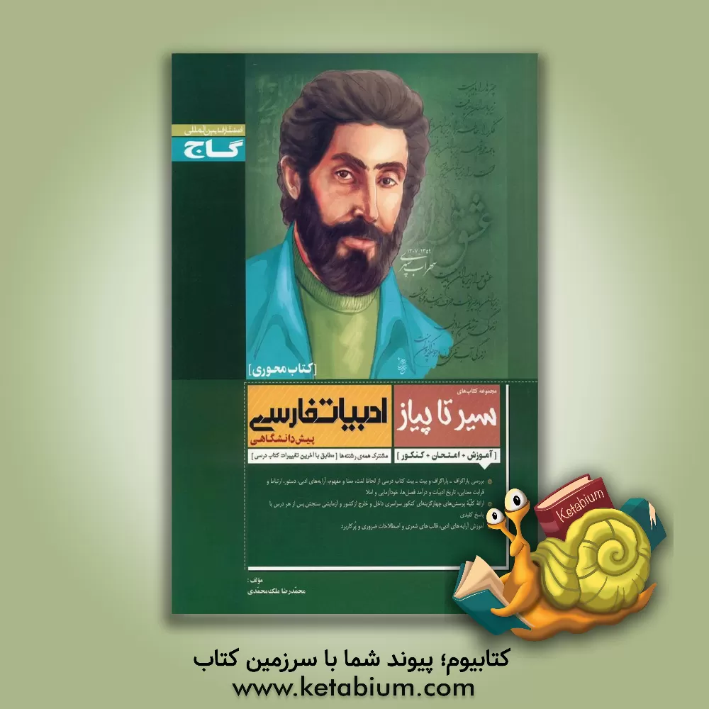 کتاب زبان و ادبیات فارسی پیش دانشگاهی اثر محمدرضا ملک‌محمدی