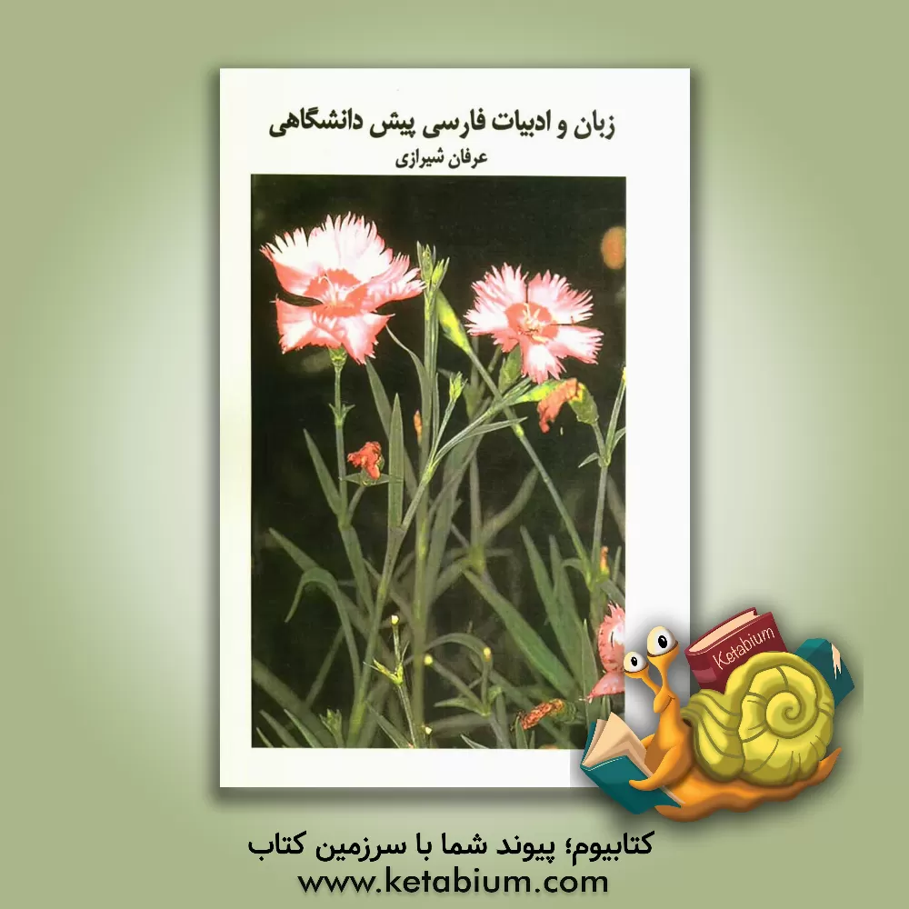 کتاب زبان و ادبیات فارسی پیش دانشگاهی: بررسی و طبقه بندی سوالات چهارگزینه ای زبان و ادبیات فارسی سال چهارم دبیرستان با پاسخ نامه کاملا تشریحی اثر عرفان شیرازی