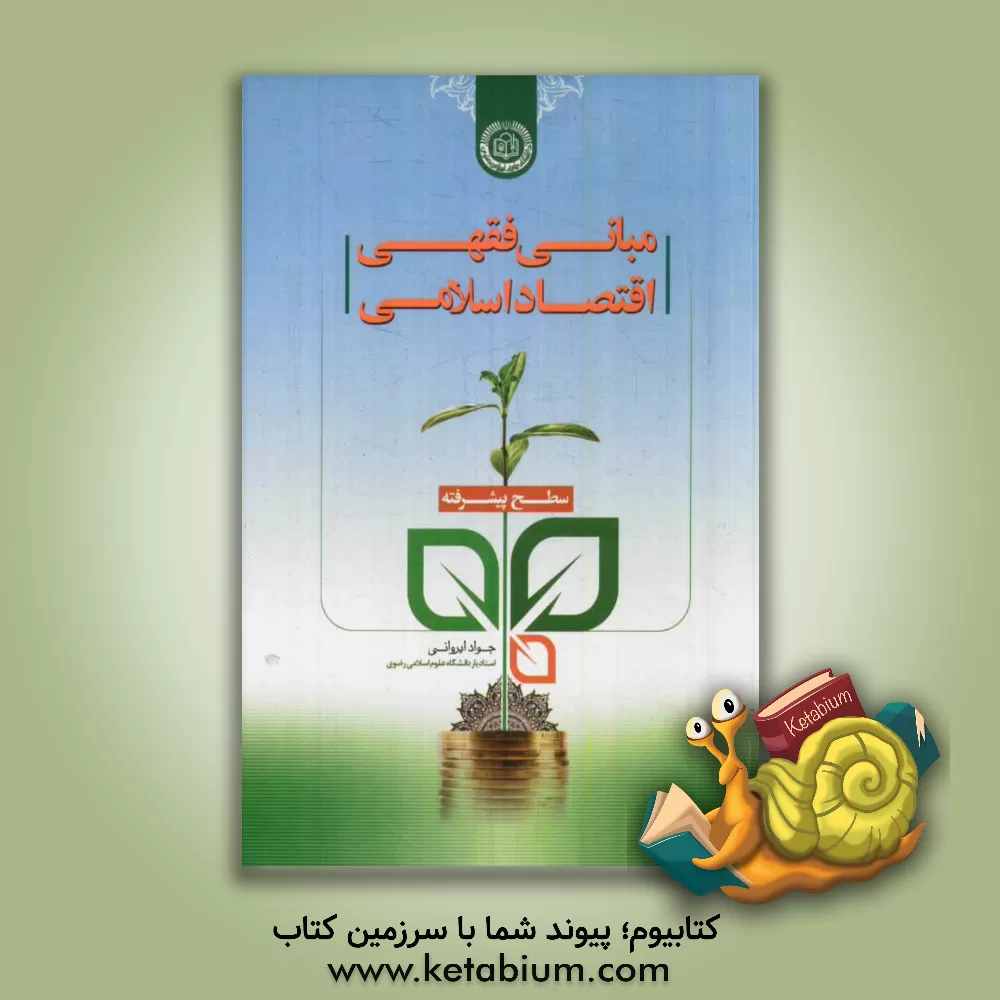 کتاب مبانی فقهی اقتصاد اسلامی (سطح پیشرفته) اثر جواد ایروانی