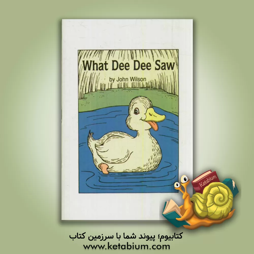 کتاب What dee dee saw اثر جان ویلسون