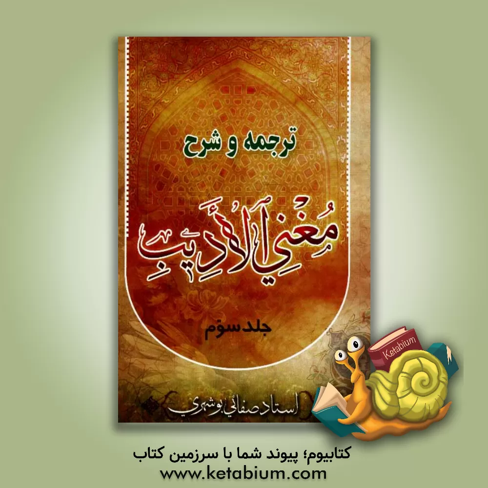 کتاب ترجمه و شرح مغنی الادیب: با تجدیدنظر و اضافات کلی اثر غلامعلی صفایی