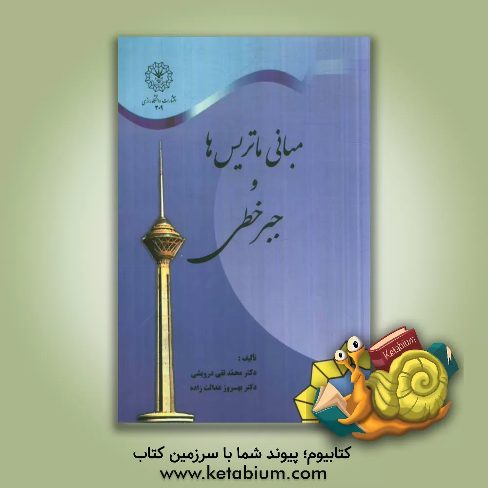 کتاب مبانی ماتریس ها و جبر خطی اثر محمدتقی درویشی