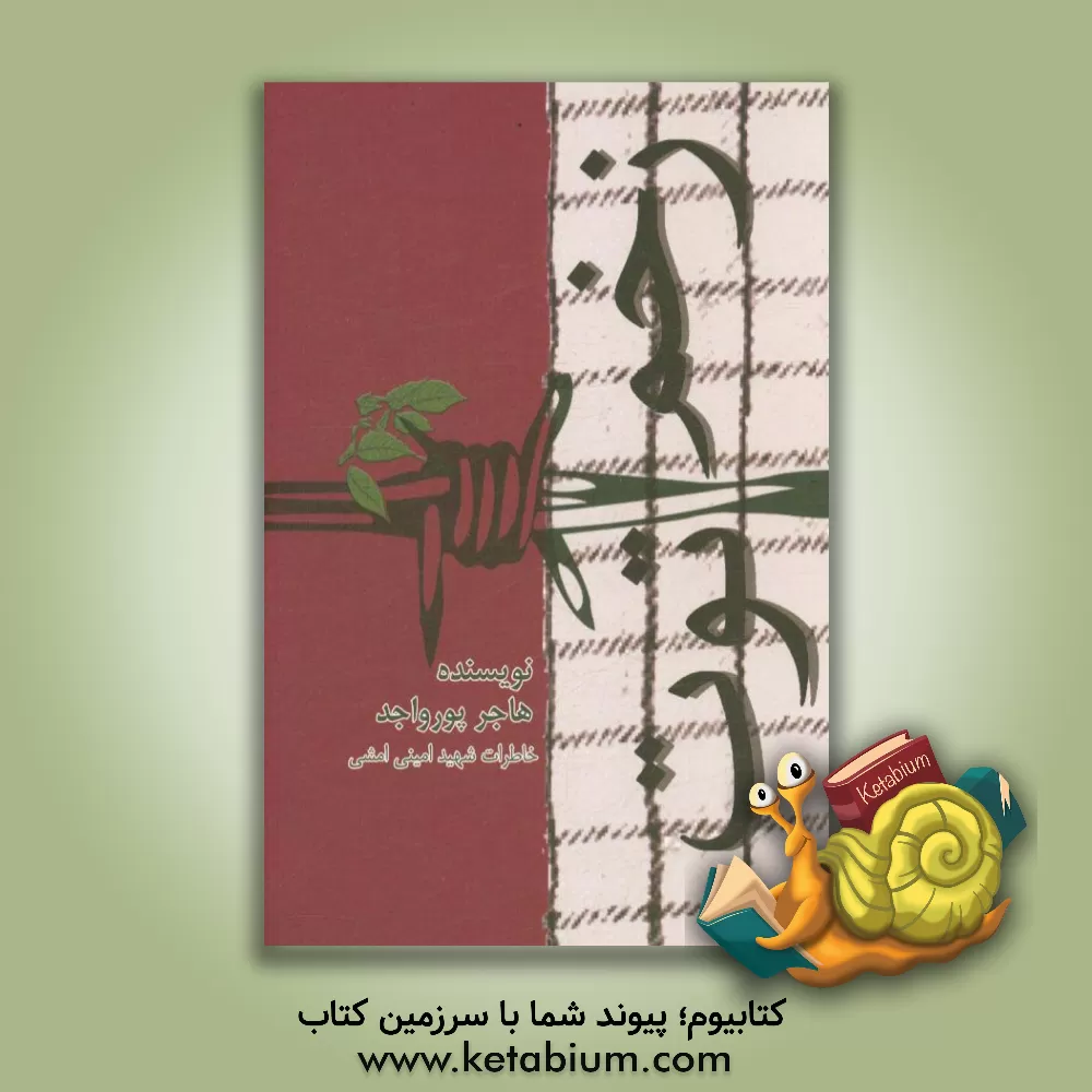 کتاب زخم توت: زندگی نامه و خاطرات شهید حسین امینی امشی اثر هاجر پورواجد